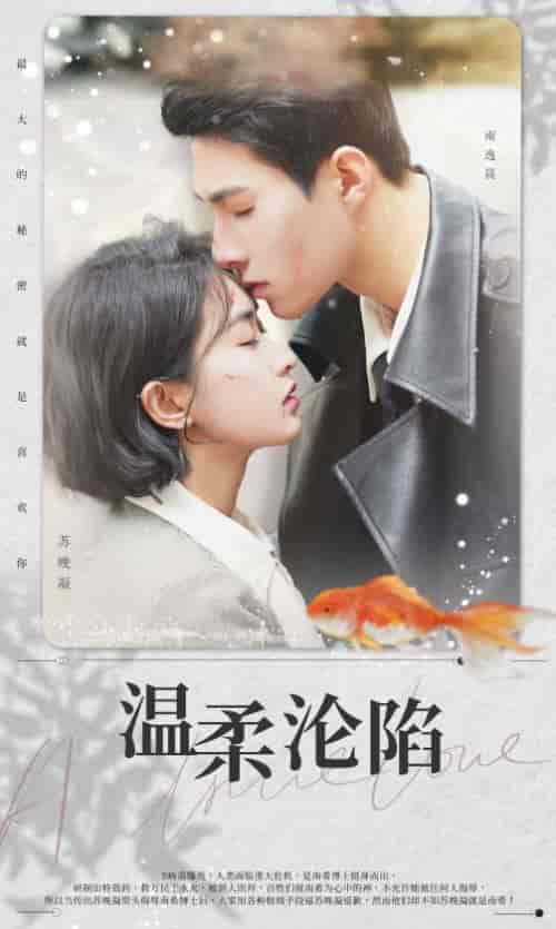 温柔沦陷(50集)-紫橙资源网
