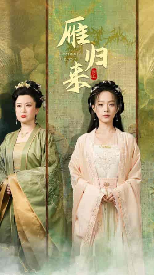 雁归来（65集）-紫橙资源网