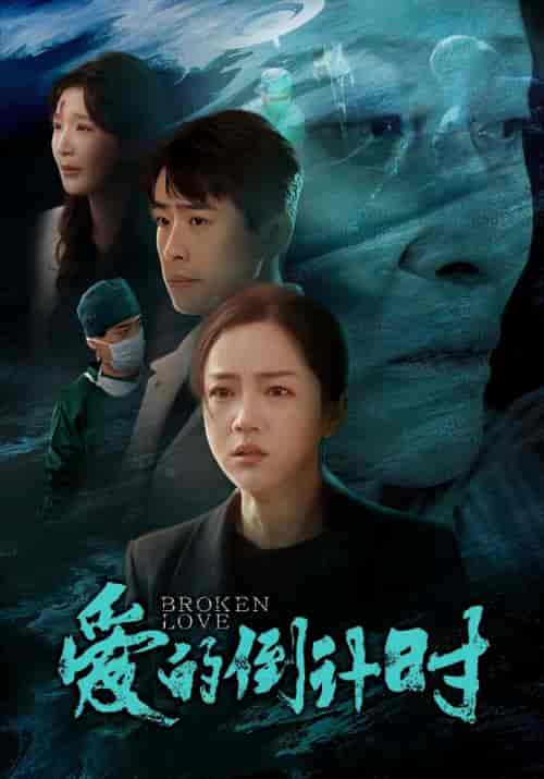 爱的倒计时（35集全）-紫橙资源网