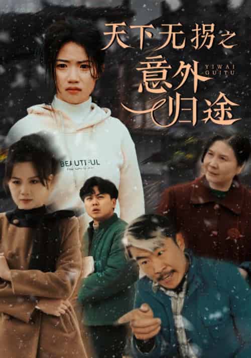 天下无拐之意外归途(61集全)高洁慧-紫橙资源网