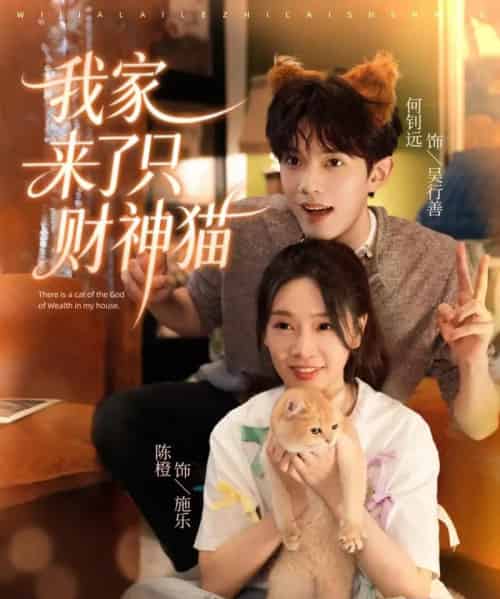 我家来了只财神猫（80集全）何钊远＆陈橙-紫橙资源网