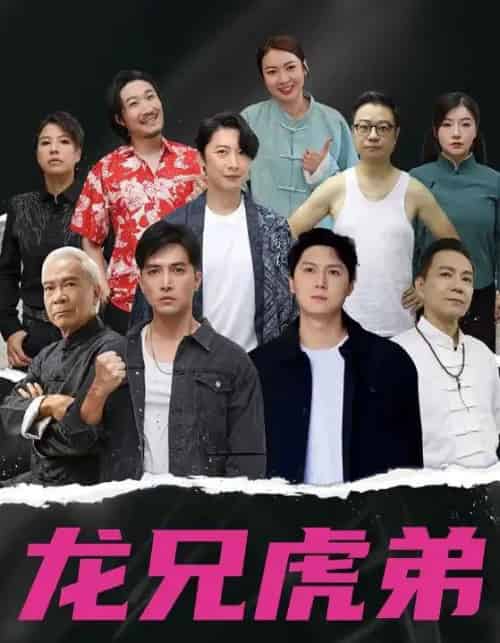 龙兄虎弟（60集）中文版-紫橙资源网