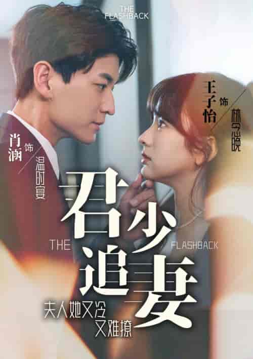 君少追妻，夫人她又冷又难撩（99集）-紫橙资源网