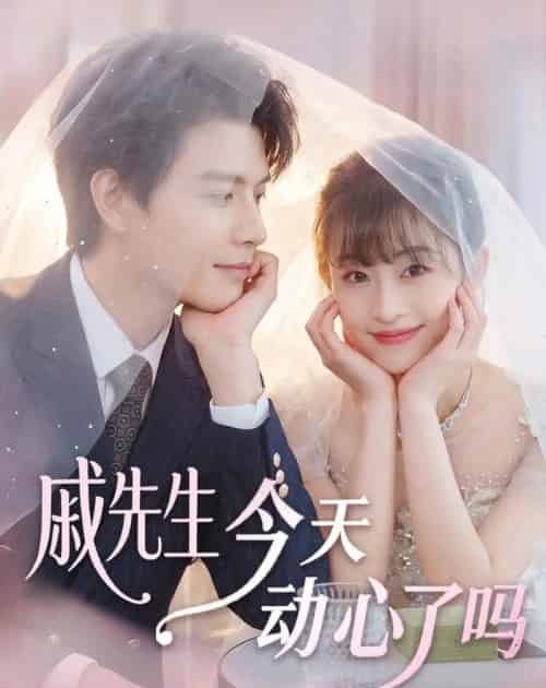 戚先生今天动心了吗(50集全)胥惠棠&李彬航-紫橙资源网
