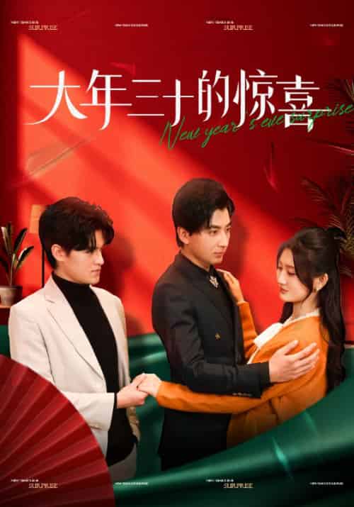 大年三十的惊喜(47集)杨珊子-紫橙资源网