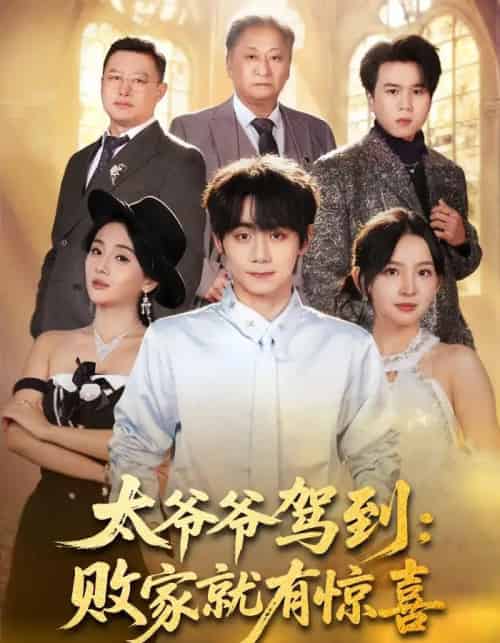 太爷爷驾到:败家就有惊喜(80集全)钟政&张婉悦-紫橙资源网