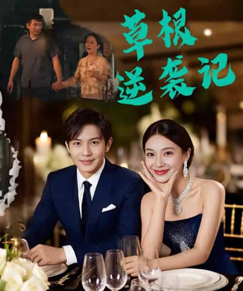 草根逆袭记（55集）王泽沛＆胡彩云-紫橙资源网