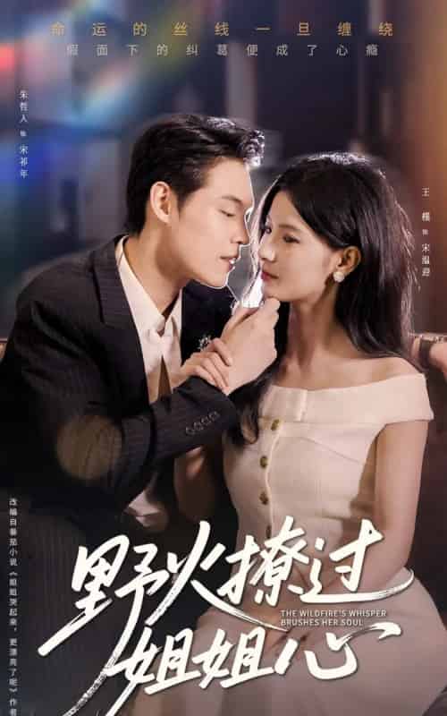 野火撩过姐姐心（97集）朱哲人＆王槿-紫橙资源网