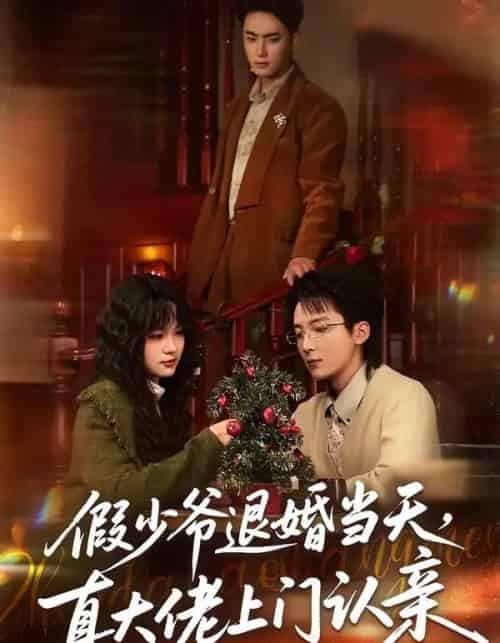 假少爷退婚当天,真大佬上门认亲(50集全)刘海燕&周宇航-紫橙资源网