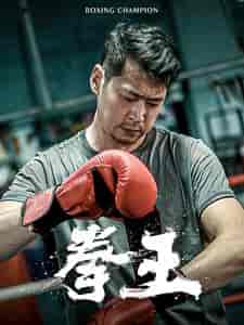拳王(72集)-紫橙资源网
