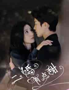 二婚有点甜(88集)贾博雅-紫橙资源网