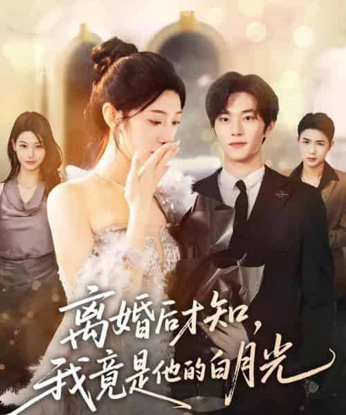 离婚后才知，我竟是他的白月光（64集全）聂文华＆焦爱迪-紫橙资源网