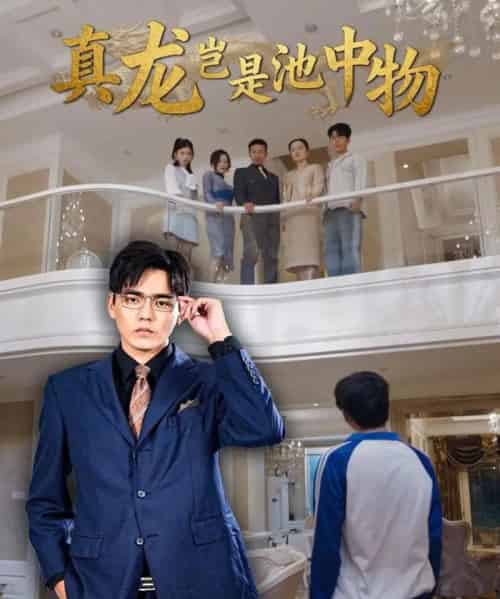 真龙岂是池中物（80集全）孙忠杨＆魏灵尧-紫橙资源网