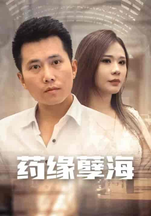 药缘孽海(100集全)叶天&萧月华-紫橙资源网