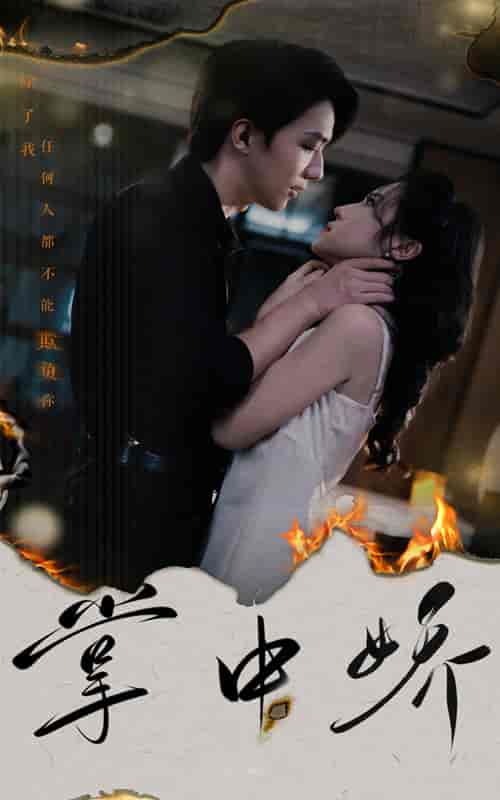 掌中娇（70集）-紫橙资源网