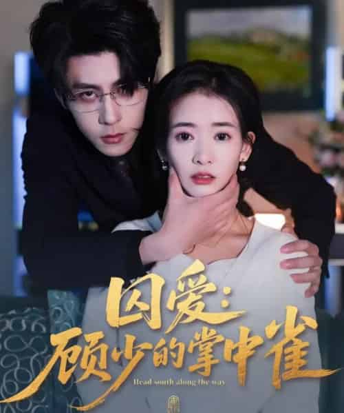 囚爱：顾少的掌中雀（70集全）安奕明＆刘姝妤-紫橙资源网