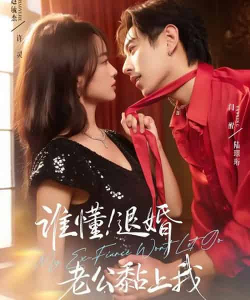 谁懂！退婚老公黏上我（64集全）赵毓杰＆闫醒-紫橙资源网