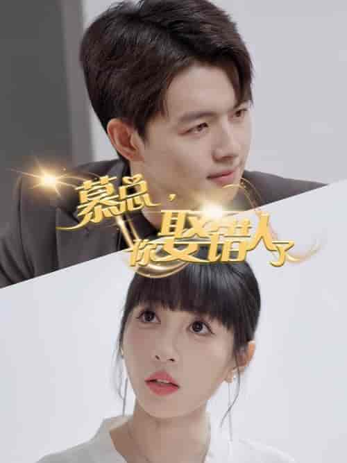 慕总你娶错人了（40集全）-紫橙资源网