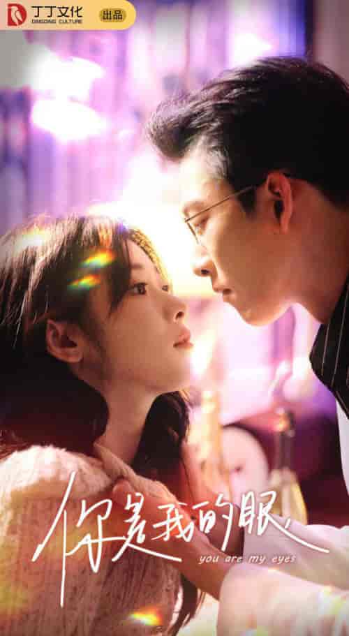 你是我的眼（76集）-紫橙资源网