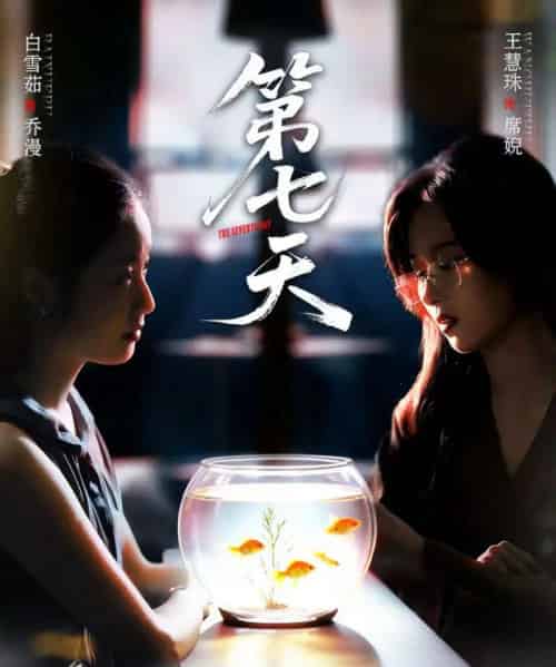第七天（48集全）白雪茹＆王慧珠-紫橙资源网