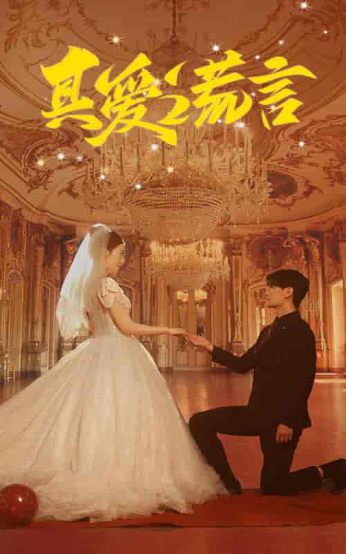 真爱谎言（35集）-紫橙资源网