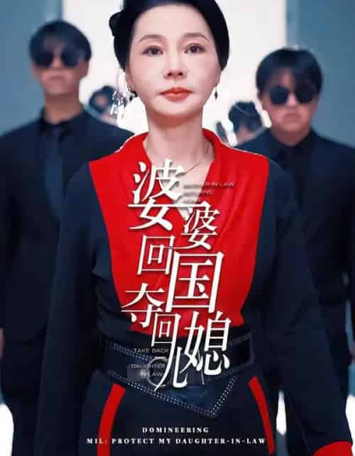 婆婆回国,夺回儿媳(63集全)张芷晨&边沐宸-紫橙资源网