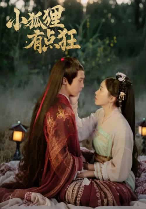 小狐狸有点狂（16集全）帝辞＆云娆-紫橙资源网