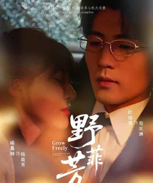 野芳菲（60集）喻嘉琳＆杜培源-紫橙资源网