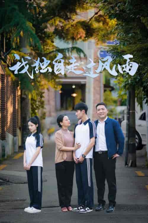 我独自走过风雨（36集全）-紫橙资源网