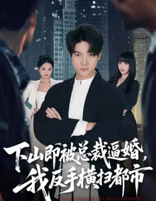 下山即被总裁逼婚,我反手横扫都市(80集全)成梓宁&毛心童-紫橙资源网