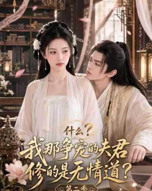 什么?我那争宠的夫君修的是无情道?第二季(91集全)AI短剧-紫橙资源网