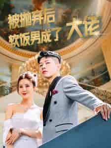 被抛弃后软饭男成了大佬(100集)-紫橙资源网
