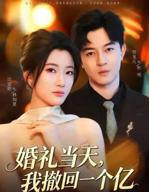 婚礼当天,我撤回一个亿(51集全)宗妍初&贺龙天-紫橙资源网