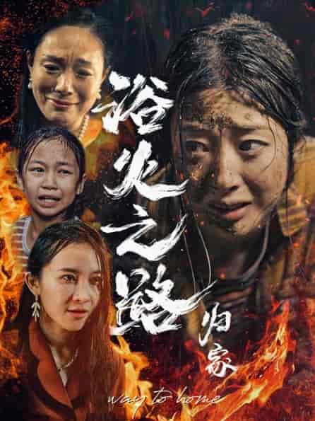 浴火之路归家（34集全）-紫橙资源网