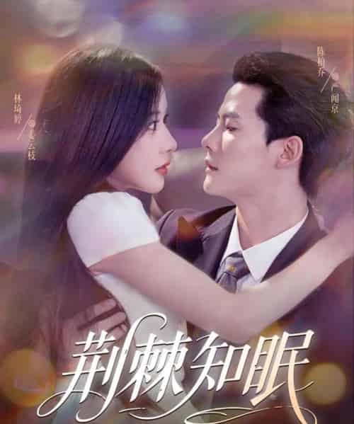 荆棘知眠（81集）陈刚（陈柏乔）＆林琦婷-紫橙资源网