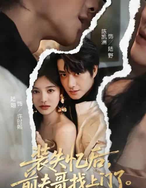 装失忆后,前夫哥找上门了(60集全)陈凯洲&陆翊-紫橙资源网