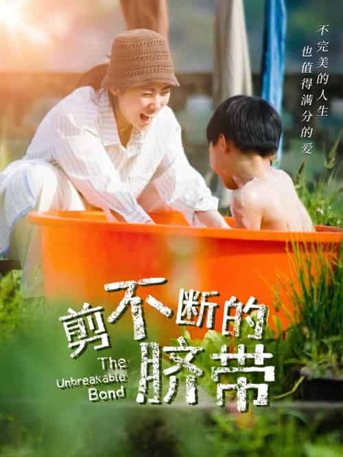 剪不断的脐带（70集）-紫橙资源网