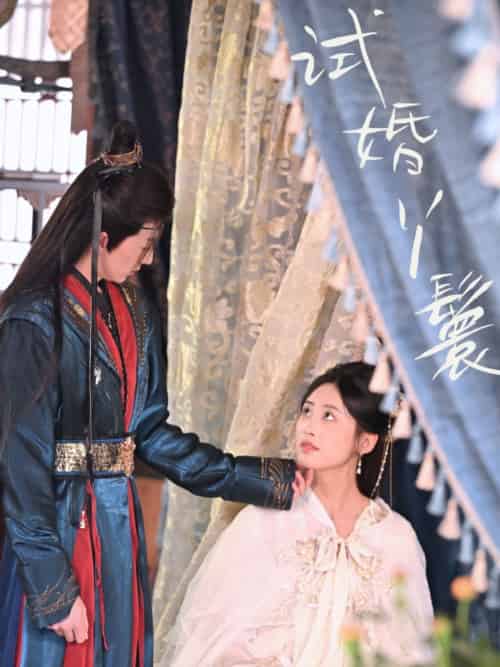试婚丫鬟(76集)王小明&伍昕宇-紫橙资源网