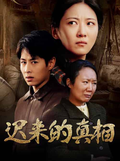 迟来的真相＆因果（57集全） - 紫橙短剧