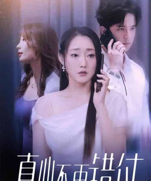 真心不再错付(51集全)吴思橦&建泽正-紫橙资源网