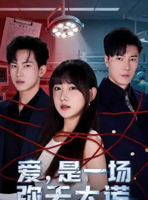 爱是一场弥天大谎（60集全）岳杨＆顾书齐-紫橙资源网