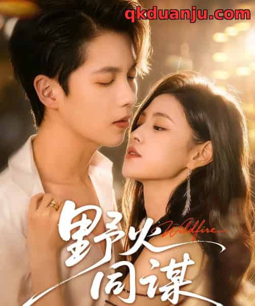 野火同谋(66集全)张星昂&林薇-紫橙资源网