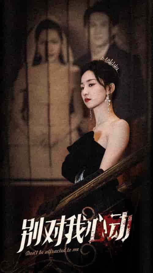 别对我心动(72集)赵慧楠-紫橙资源网