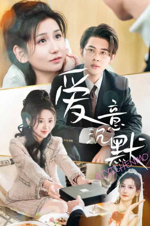 爱意沉默（29集全）-紫橙资源网