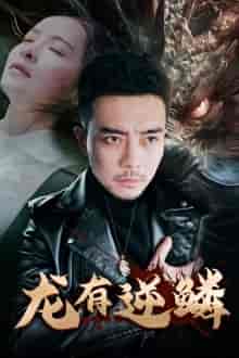 龙有逆鳞（81集）-紫橙资源网