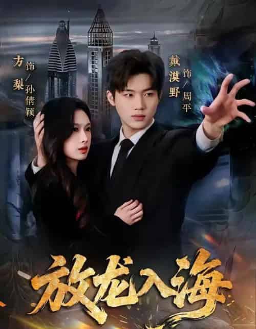 放龙入海（62集全）戴漠野＆方梨-紫橙资源网