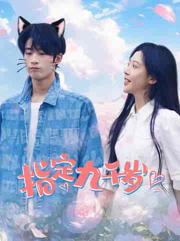 指定九千岁(100集)-紫橙资源网