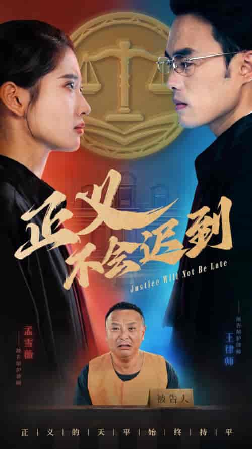 正义不会迟到（40集全）-紫橙资源网
