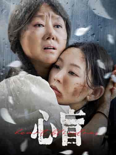 心盲（100集）-紫橙资源网