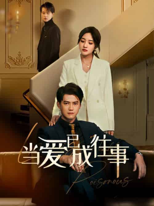 新：当爱已成往事（60集全）-紫橙资源网